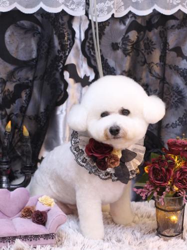 20231014ププくん